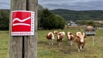 Rothaarsteig: Wegmarkierung