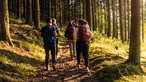 Rothaarsteig: Wanderer