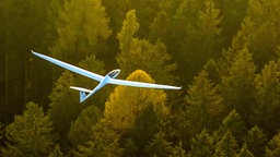 Segelflugzeug über Waldgebiet