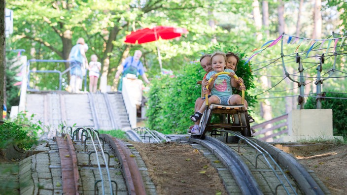 Auf der Sommerrodelbahn fahren drei Kinder mit dem Schlitten hinunter.