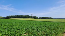 Aussichtsturm in der Sonsbecker Schweiz