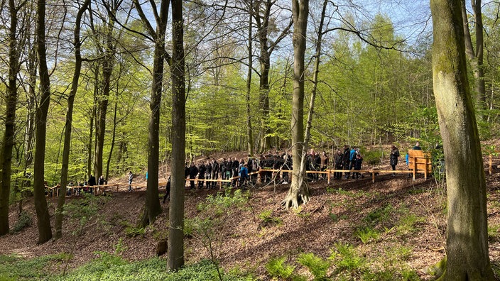 Waldkugelbahn Mettingen