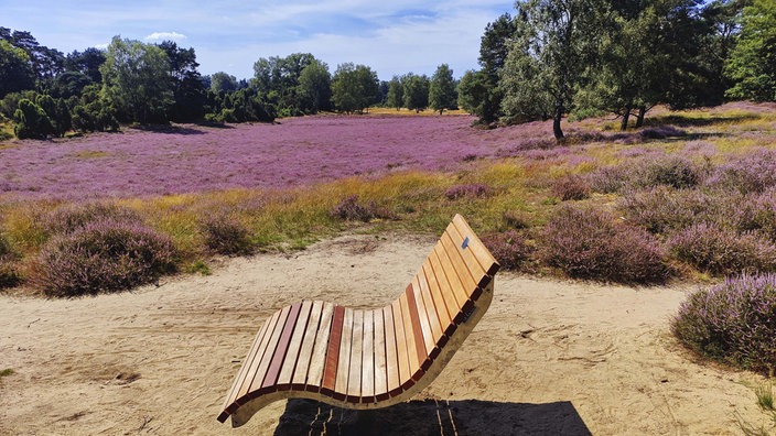 Westruper Heide