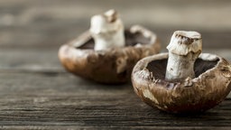 Zwei Portobello-Pilze