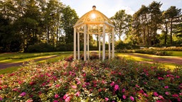 Die Sonne scheint 30.10.2020 auf den Pavillon des Kurparks, davor blühen Blumen.