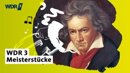 Ludwig van Beethoven: Violinkonzert - überirdisch schön | Teaserbild