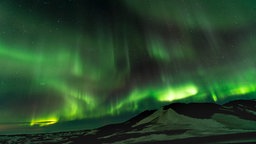 Nordlichter, Polarlichter (Aurora borealis), bei Mývatn, Norðurland Eystra, Nordisland, Island, Europa