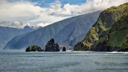  Küste, Steilküste am Atlantik in Porto Moniz, Madeira, Portugal
