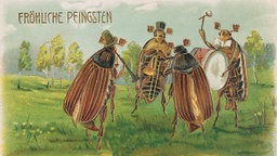 Eine Pfingstpostkarte mit vier musizierenden Maikäfern.