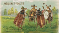 Eine Pfingstpostkarte mit vier musizierenden Maikäfern.