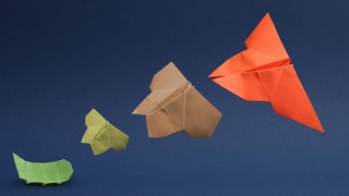 Verwandlung einer Raupe zum Schmetterling, dargestellt mit Origami Figuren.