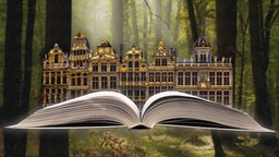 Buch, auf dem Häuser stehen im Wald.