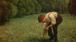 Bild von einem Jungen, der auf einer Wiese Blumen pflückt. 