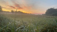 Sonnenaufgang über einer Wiese im Kölner Westen 