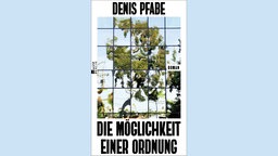 Buchcover von "Die Möglichkeit einer Ordnung" von Denis Pfabe.