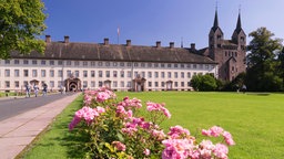 Außenansicht von Schloss Corvey mit einem blumengesäumten Weg.