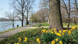 Der historische Schlosspark im Frühling mit Blick auf den angrenzenden Rhein. 