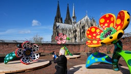 Eine Frau macht ein Bild der Installation "Flowers that speak all about my heart given to the sky" von Yayoi Kusama im Museum Luwdig.