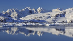 Eisberge in Fjord vor verschneiten Bergen, sonnig, Winter