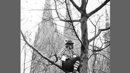 Köln, 1965. Ein Karnevalsjeck sitzt auf einem Baum vor dem Kölner Dom
