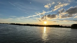 Monheimer Rheinlandschaft