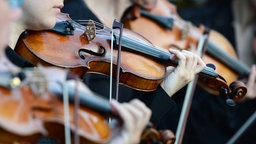 Musiker eines Orchesters spielen Geige