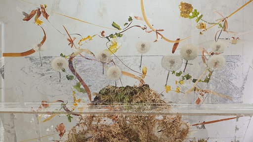 Ausstellungsansicht "A Beautiful Place Nearby" im Projektraum Fünfzehnwochen.