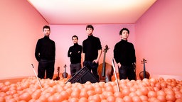 vision string quartet