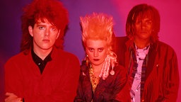 Tom Bailey, Alannah Currie und Joe Leeway