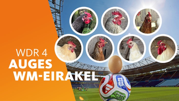 Ein Blick in ein großes Fußballstadion. Ein Ei steht auf einem Fifa 2026-Ball, darüber in runden Ausschnitten sieht man sieben Hühner im Porträt.