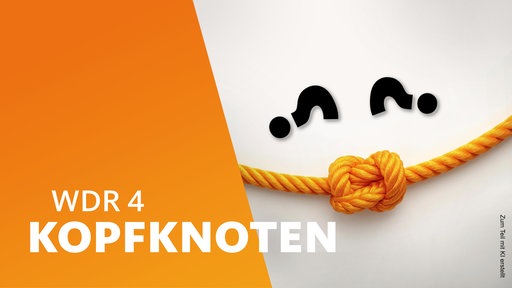 Ein gebogenes Seil mit einem Knoten in der Mitte, darüber zwei gekippte Fragezeichnen, in der Anmutung eines lächelnden Gesichts