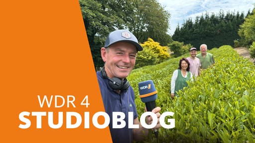 WDR 4-Reporter Manuel Unger steht mit Mikrofon auf der Teeplantage "Tschanara Teagarden". Im Hintergrund sind zwischen den Teepflanzen Martin Mennekes, Haeng ok Kim und Wolfgang Bucher zu sehen