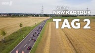 Radfahrer fahren an einem Feld entlang am Tag 2 der NRWRadtour 2025