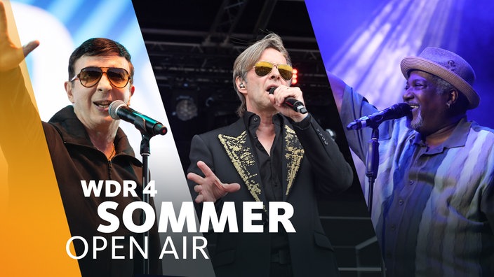 Collage von Marc Almond, Clark Datchler (Johnny Hates Jazz) und Sydney Youngblood, die bei unterschiedlichen Live-Auftritten gestikulierend auf der Bühne stehen