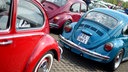 Mehrere VW Käfer parken beim sogenannten Maikäfertreffen von Oldtimer-Liebhabern in Hannover