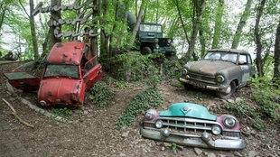 Mehrere Autoskulpturen im Wald im Neandertal nahe Düsseldorf