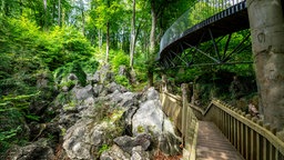 Das Felsenmeer in Hemer: Links im Bild sind Gestein und Gebüsch zu sehen, rechts gibt es einen hölzernen Fußweg und weiter oben eine Brücke
