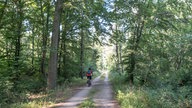 Ein Waldweg in der Nähe des Bleibtreusees an der Ville-Seenplatte im Naturpark Rheinland. Auf dem Weg ist ein rot-gekleideter Radfahrer zu sehen.