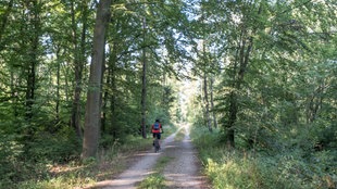 Ein Waldweg in der Nähe des Bleibtreusees an der Ville-Seenplatte im Naturpark Rheinland. Auf dem Weg ist ein rot-gekleideter Radfahrer zu sehen.