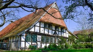Außenansicht des Storchenmuseums: Ein Fachwerkhaus im Grünen
