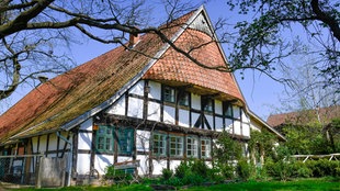 Außenansicht des Storchenmuseums: Ein Fachwerkhaus im Grünen