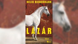 Buchcover: "Lázár" von Nelio Biedermann (Ein weißes Pferd im Profil vor einem roten, bebilderten Wandteppich)
