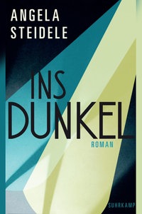 Buchcover: "Ins Dunkel" von Angela Steidele