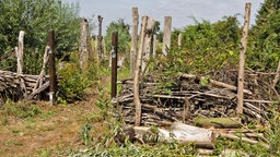 Benjeshecken aus Holzpflöcken, gefüllt mit Astschnitt