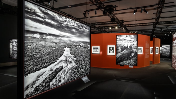 Ausstellung "Amazonia" in Köln: Ein Ausstellungsraum, in dem Schwarz-Weiß-Fotos zu sehen sind. Vorne links im Bild eine große Fotografie, weiter hinten an roten Wänden mehrere etwas kleinere Fotos. 