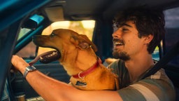 Szene aus dem Film "Caramelo": Pedro, gespielt von Rafael Vitti, sitzt lachend am Steuer eines Autos. Der Hund Caramelo sitzt mit heraushängender Zunge auf Pedros Schoß. 
