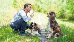 Ein Mann trainiert mit erhobenem Zeigefinger zwei Hunde auf einer grünen Wiese