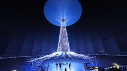 40 Meter hohe Lichtinstallation in Form eines Baums. Die Wurzeln breiten sich strahlenförmig aus. Darunter liegen Besucher der Ausstellung auf dem Boden und schauen den Baum hinauf nach oben. 