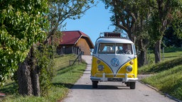 Ein Oldtimer VW T1 Bulli, Baujahr 1967, auf einer Landstraße zwischen Bäumen und Wiesen und einem Hof im Hintergrund