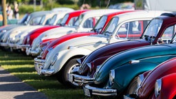 VW Käfer in verschiedenen Farben in einer Reihe
